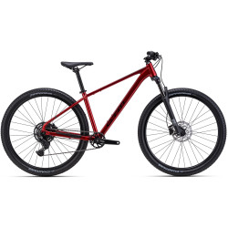 BICYKEL CTM RAMBLER 2.0 2026